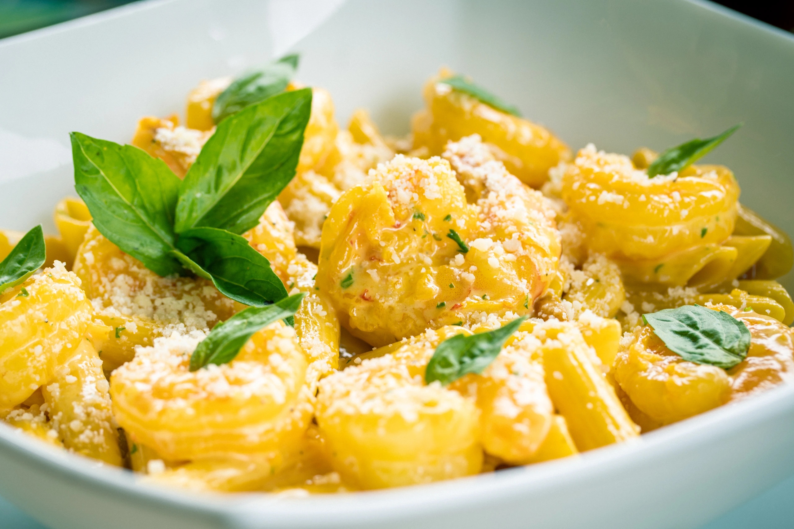 Freshly presented pasta photographed at Taste of Agape
